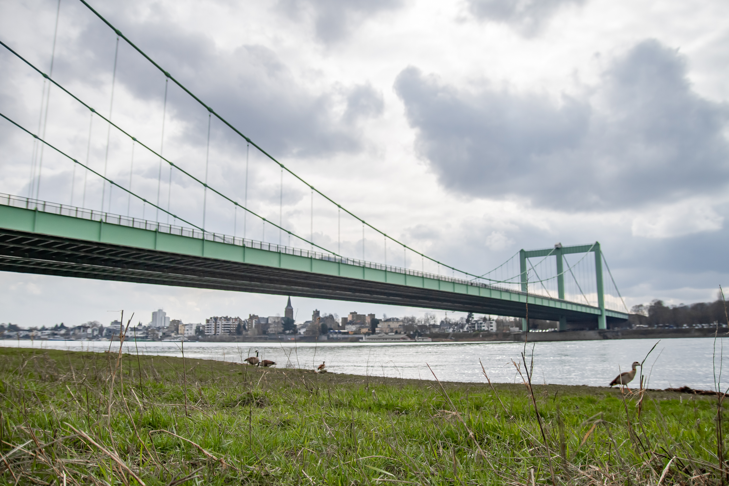 Rodenkirchener Brücke | Foto: Alex Volk